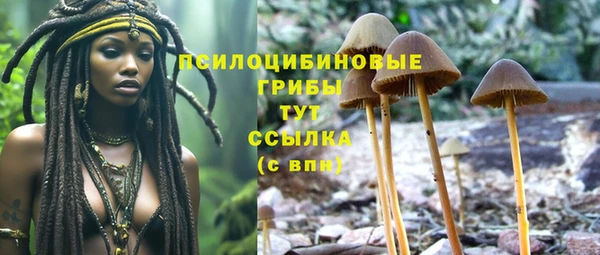 а пвп мука Новодвинск