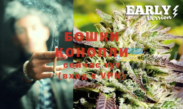 каннабис Новозыбков