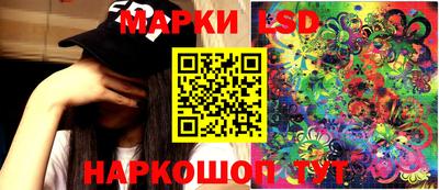 крисы Абакан