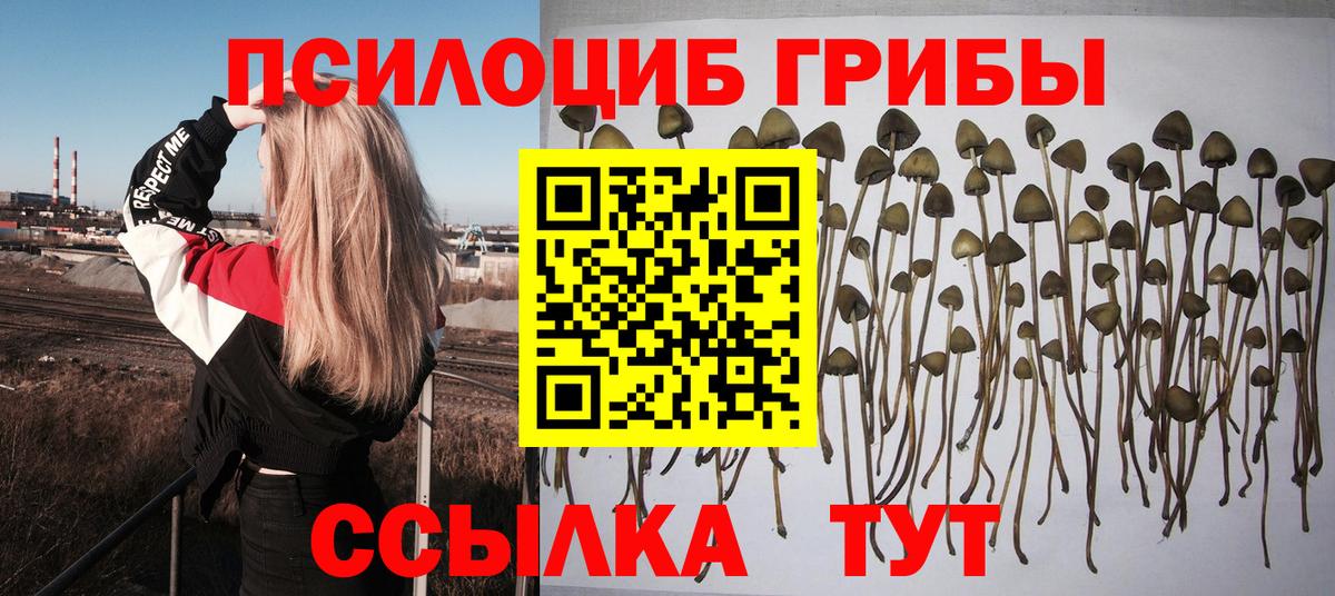 Галлюциногенные грибы Psilocybe  Азнакаево  Псилоцибиновые грибы мухоморы 