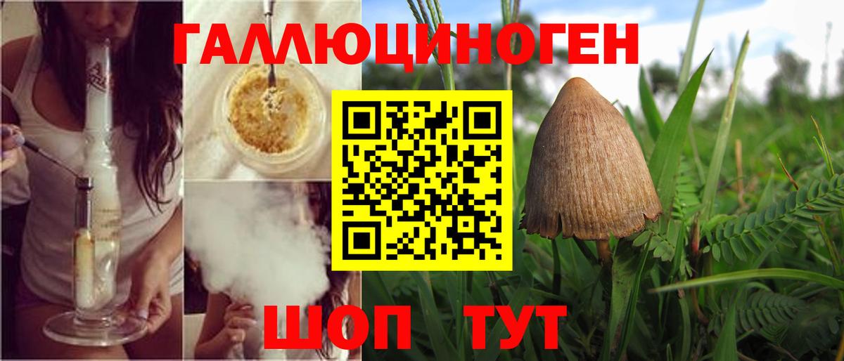 где найти наркотики  Псилоцибиновые грибы Psilocybe  Вход с VPN  Азнакаево 