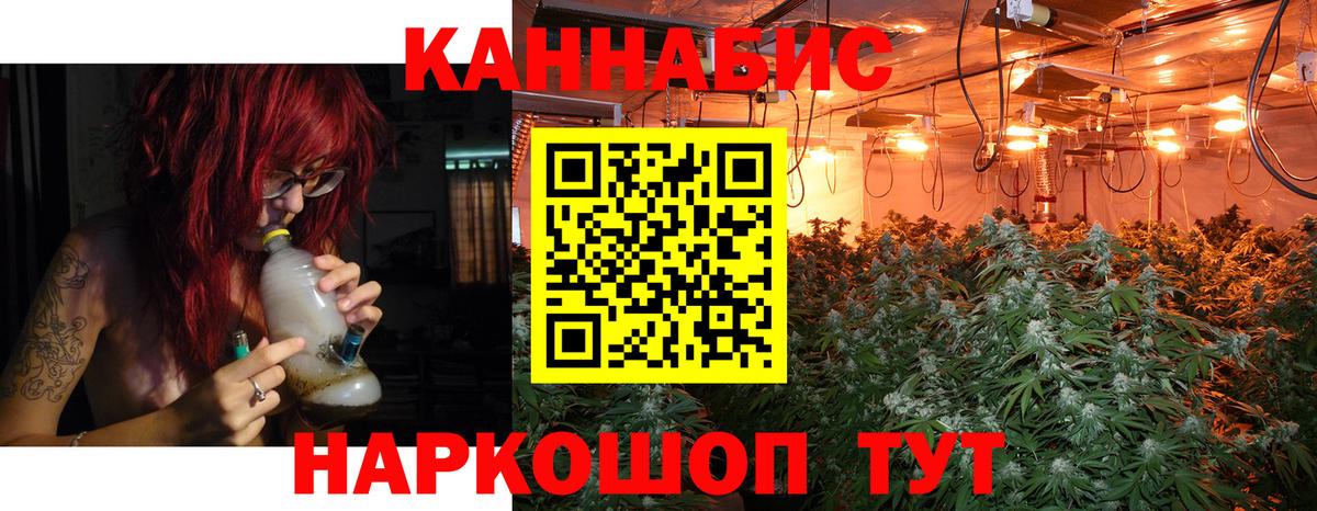 Бошки Шишки план Азнакаево